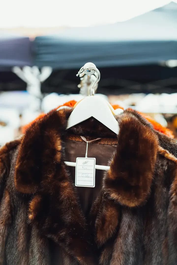 ML FURS case study — Organic Growth
