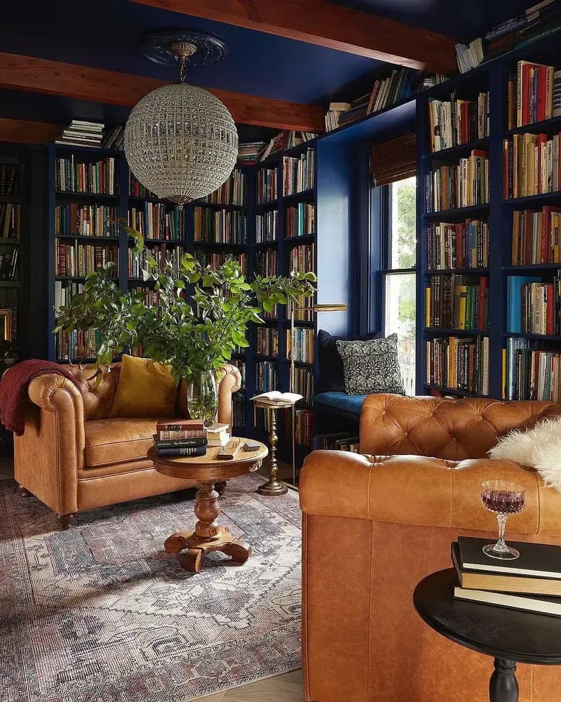 Poly and Bark case study