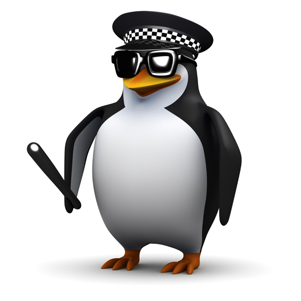 What you need to know & what we've learned from the final Penguin 4.0 update.